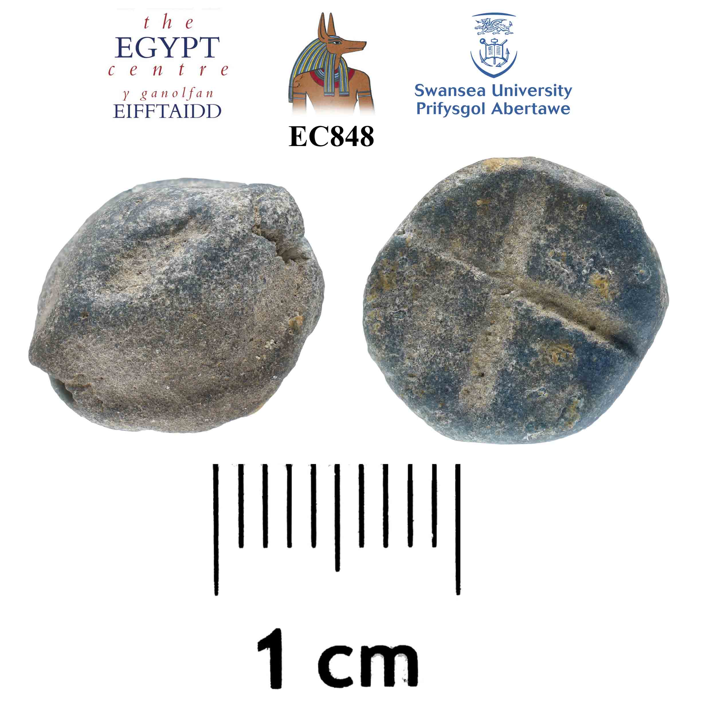 Image for: Scarab